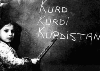 اللغة الكرمانجية في سنجار… تراث لغوي عابر للعصور